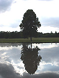  Park Schönbusch